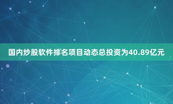 国内炒股软件排名项目动态总投资为40.89亿元
