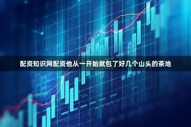 配资知识网配资他从一开始就包了好几个山头的茶地